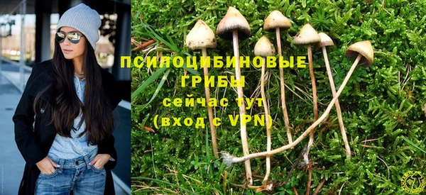 прущие крисы Армянск
